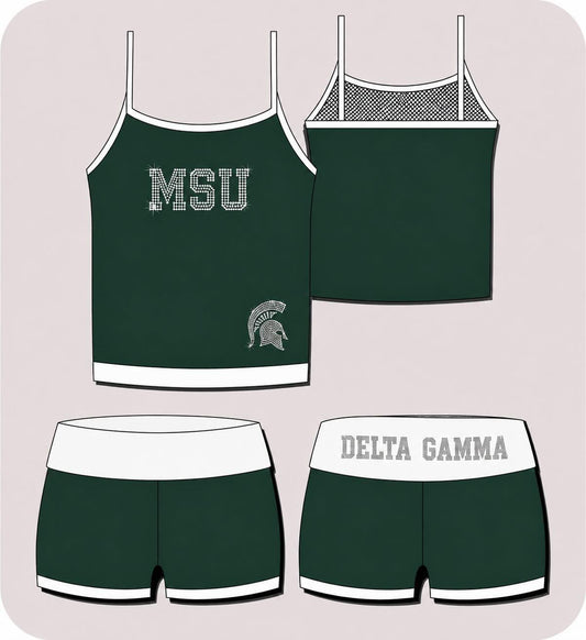 Premium Rhinestone Delta Gamma Michigan State Sets