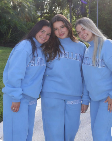 Premium Nebraska Wesleyan Panhellenic Mock Necks