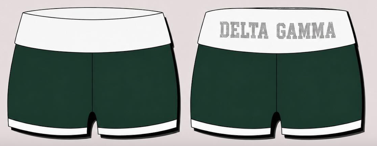 Premium Rhinestone Delta Gamma Michigan State Sets